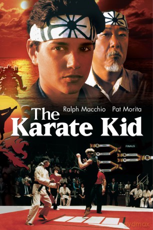 Karate Kid (1984) [DVD]