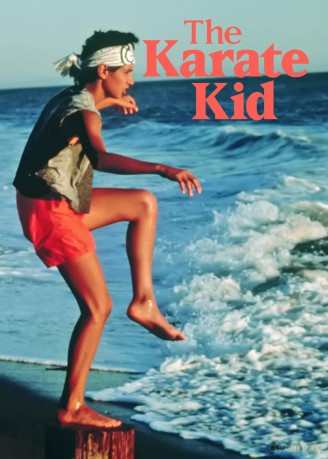 Karate Kid (1984) [DVD]