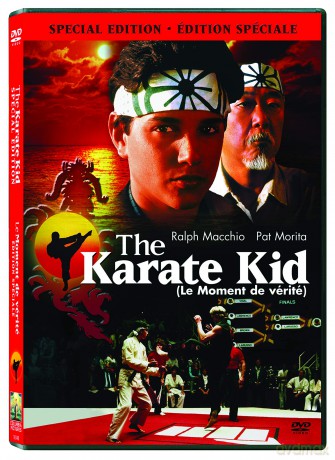 Karate Kid The (1984) [DVD]