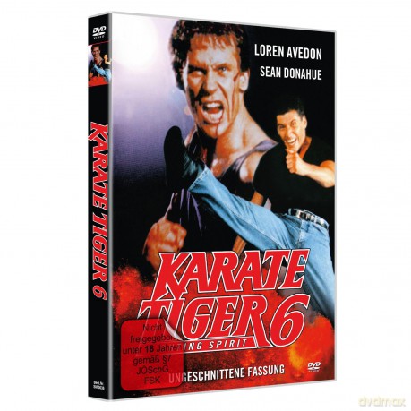 Karate Tiger 6 [DVD]