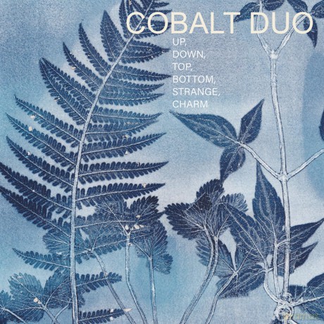 Kate Halsall | Fumiko Miyachi-Cobalt Duo Up Down Top Bot: Kate Halsall | Fumiko Miyachi-Cobalt Duo Up Down Top Bot [CD]