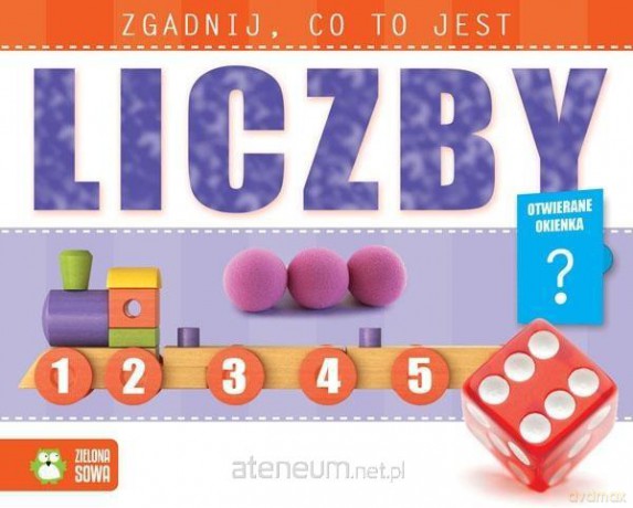 Liczby. Zgadnij, co to jest [KSIĄŻKA]