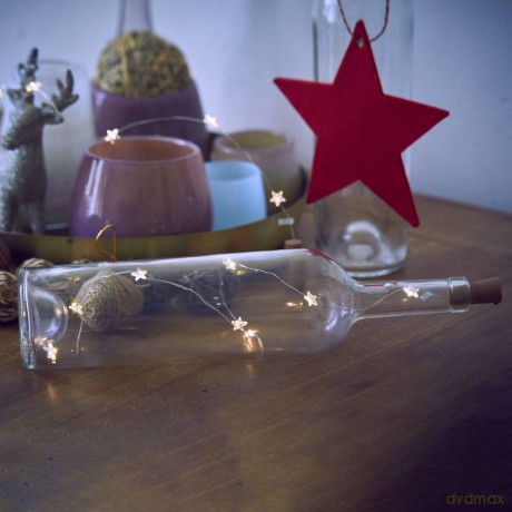 Kerstverlichting Fles 8 LED 80cm draad