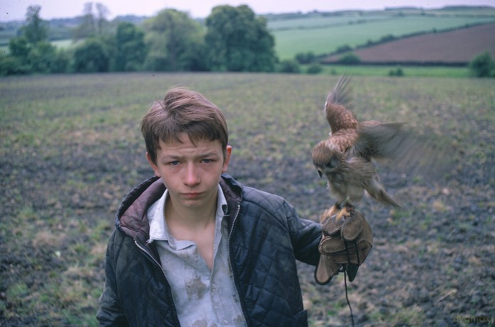 Kes [Blu-Ray]