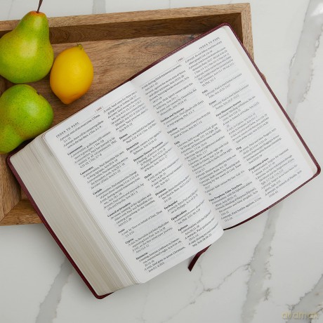 King James Study Bible Hb [KSIĄŻKA]