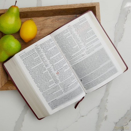 King James Study Bible Hb [KSIĄŻKA]