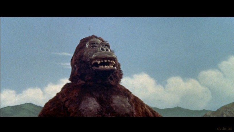 King Kong Vs. Godzilla [DVD]