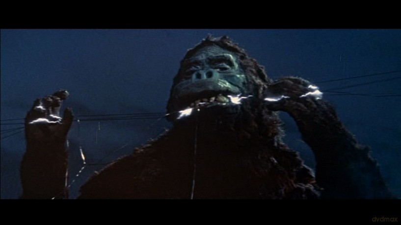 King Kong Vs. Godzilla [DVD]