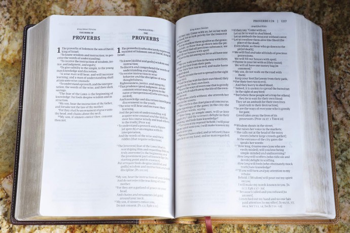 Kjv Amplified Parallel B Hb [KSIĄŻKA]