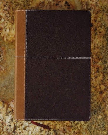 Kjv Amplified Parallel B Hb [KSIĄŻKA]