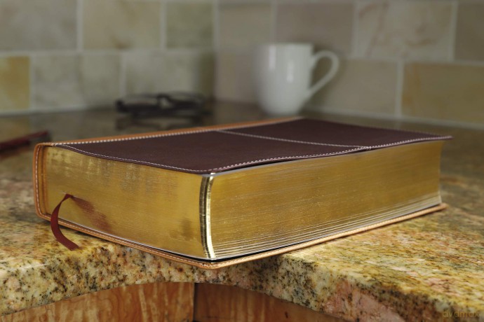 Kjv Amplified Parallel B Hb [KSIĄŻKA]