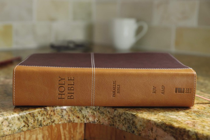 Kjv Amplified Parallel B Hb [KSIĄŻKA]
