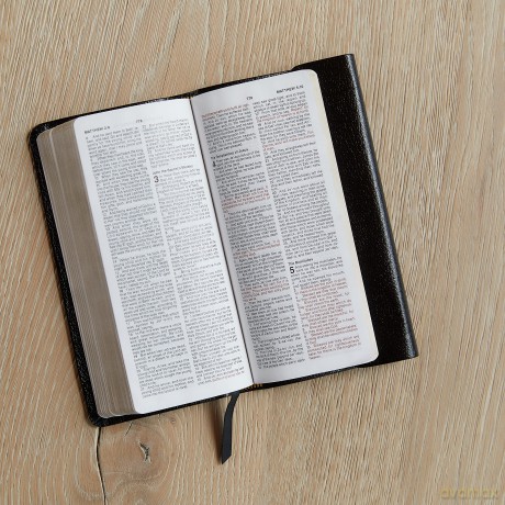 Kjv Checkbook Bible Comp Hb [KSIĄŻKA]