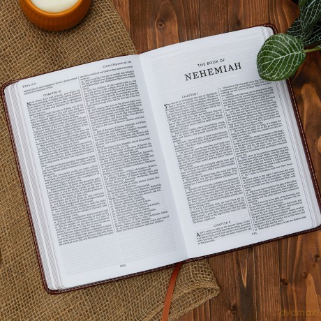 Kjv Deluxe Gift Bible Im Hb [KSIĄŻKA]