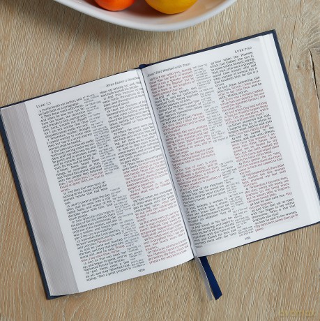 Kjv Deluxe Reference Bibl Hb [KSIĄŻKA]