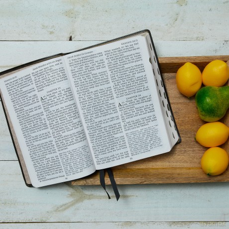 Kjv Deluxe Reference Bibl Hb [KSIĄŻKA]