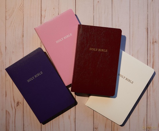 Kjv Gift Award Bible Imi Hb [KSIĄŻKA]
