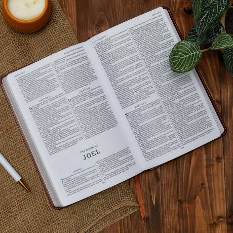Kjv Gift Award Bible Imi Hb [KSIĄŻKA]
