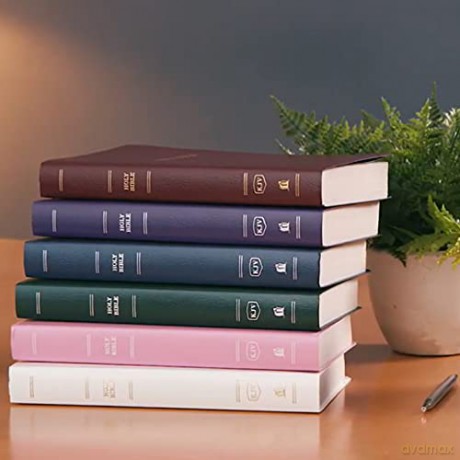 Kjv Gift Award Bible Imi Hb [KSIĄŻKA]