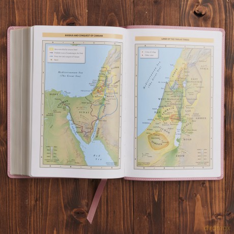 Kjv Holy Bible Large Print Hb [KSIĄŻKA]