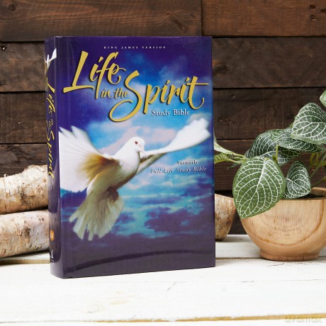 Kjv Life In Spirit Study Hb [KSIĄŻKA]