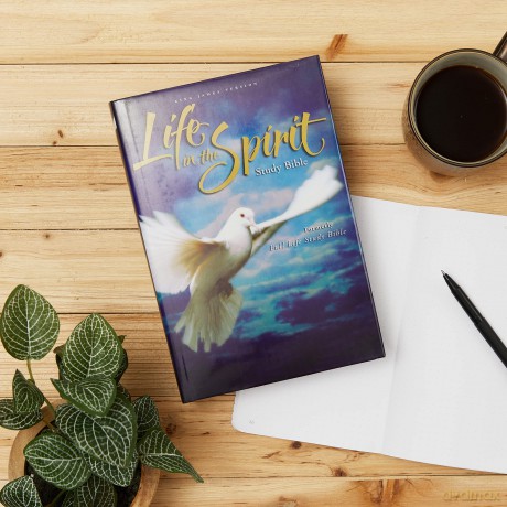 Kjv Life In Spirit Study Hb [KSIĄŻKA]