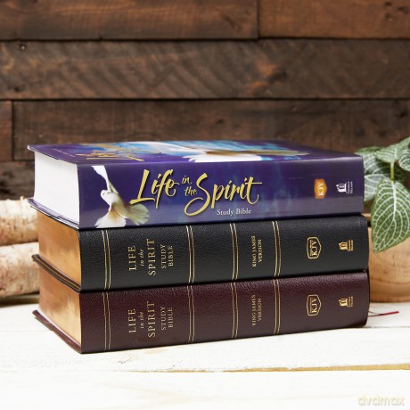 Kjv Life In Spirit Study Hb [KSIĄŻKA]