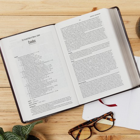 Kjv Life In Spirit Study Hb [KSIĄŻKA]