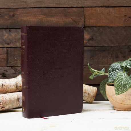 Kjv Life In Spirit Study Hb [KSIĄŻKA]