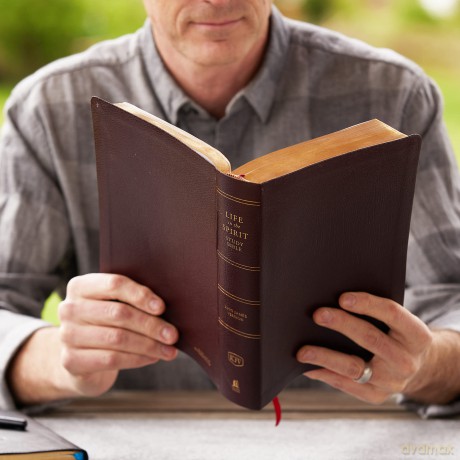 Kjv Life In Spirit Study Hb [KSIĄŻKA]