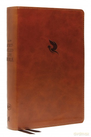 Kjv Spiritfilled Life Bi Hb [KSIĄŻKA]