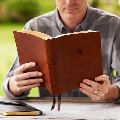 Kjv Spiritfilled Life Bi Hb [KSIĄŻKA]