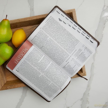 Kjv Study Bible Large Pri Hb [KSIĄŻKA]