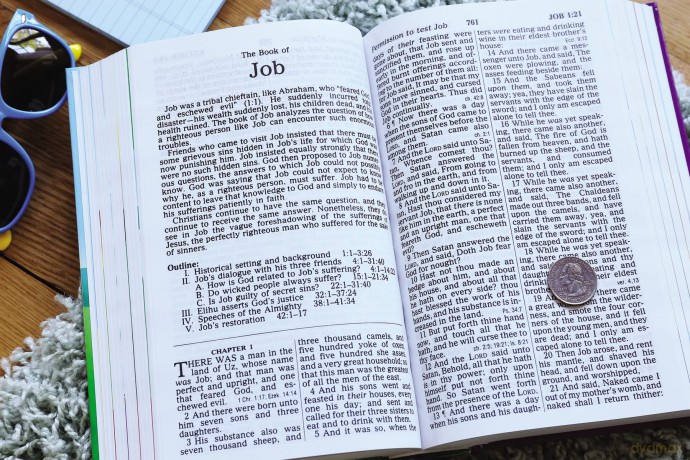 Kjv The Beginners Bible Ho Hb [KSIĄŻKA]