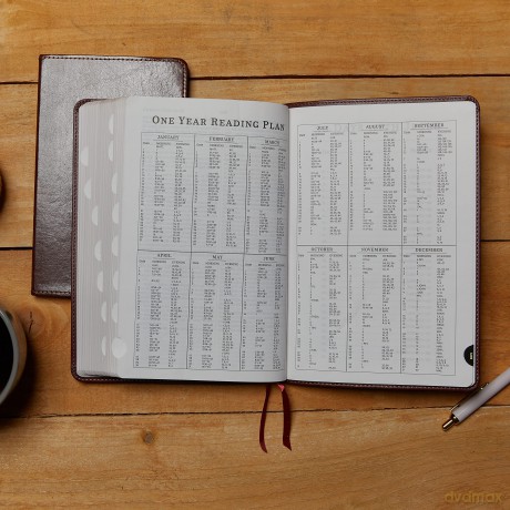Kjv Thinline Bible Large Hb [KSIĄŻKA]