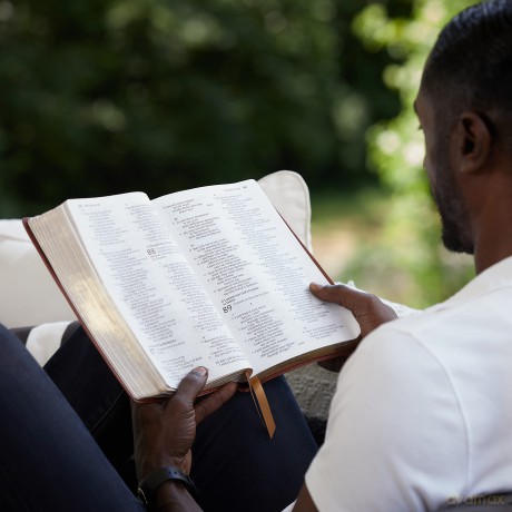 Kjv Thinline Large Print Hb [KSIĄŻKA]
