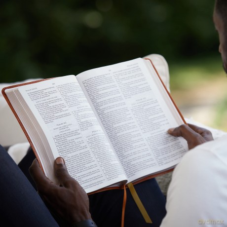 Kjv Thinline Large Print Hb [KSIĄŻKA]