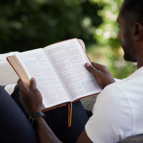 Kjv Thinline Large Print Hb [KSIĄŻKA]