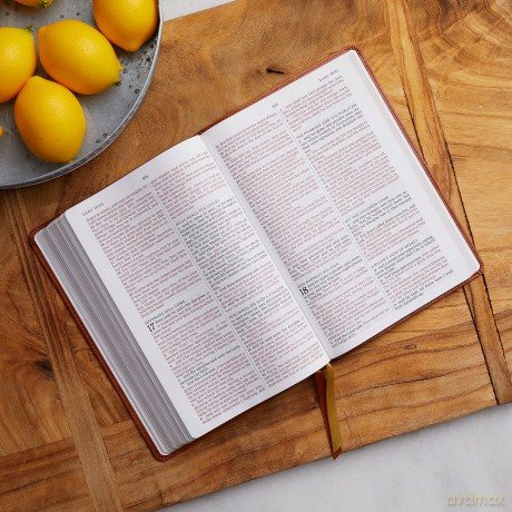Kjv Thinline Large Print Hb [KSIĄŻKA]