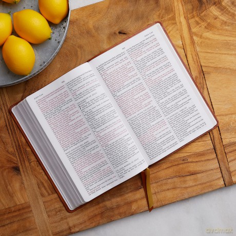Kjv Thinline Large Print Hb [KSIĄŻKA]