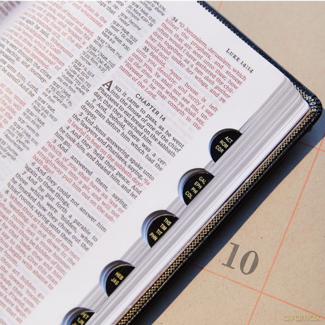 Kjv Thinline Reference Bi Lth [KSIĄŻKA]