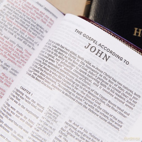 Kjv Thinline Reference Bi Lth [KSIĄŻKA]