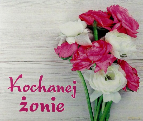 Perełka 249 Kochanej żonie [KSIĄŻKA]