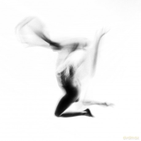 Lone Assembly: Knots And Chains [CD]