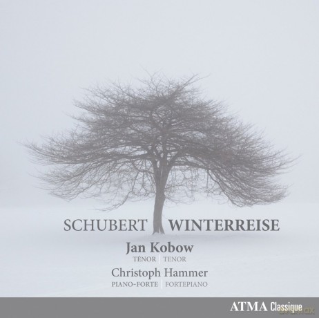 Kobow: Kobow/Hammer-Winterreise [CD]