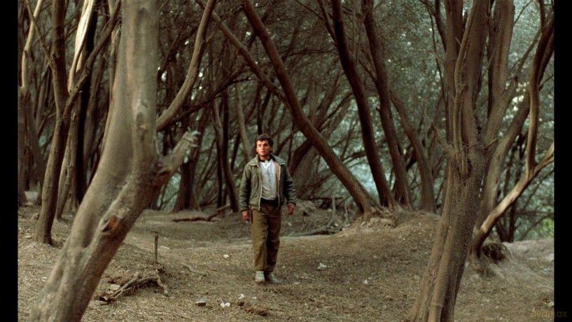 Koker Trilogy, The [3xBlu-Ray]