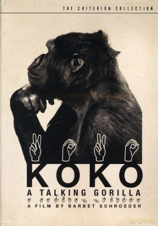 Koko - A Talking Gorilla [DVD]