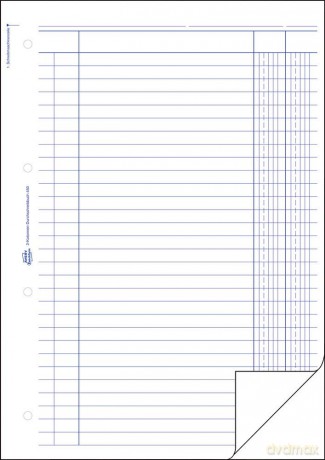 Kolonnenbuch,A4,2x50Blatt