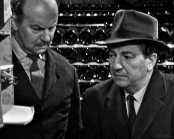 Kommissar Maigret - Die Verschollenen Fa [2DVD]
