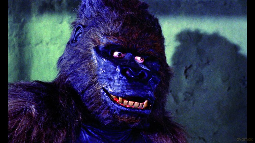 Konga [DVD]